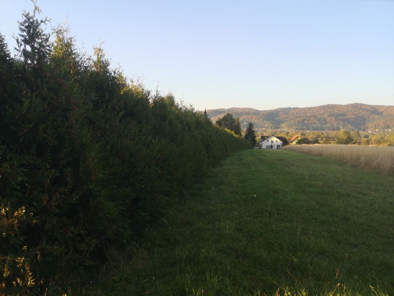 Działka budowlana Zagórz, ul. Graniczna. Zdjęcie 6