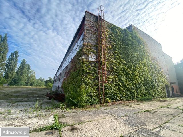 Hala/magazyn Świętochłowice, ul. Wojska Polskiego. Zdjęcie 1