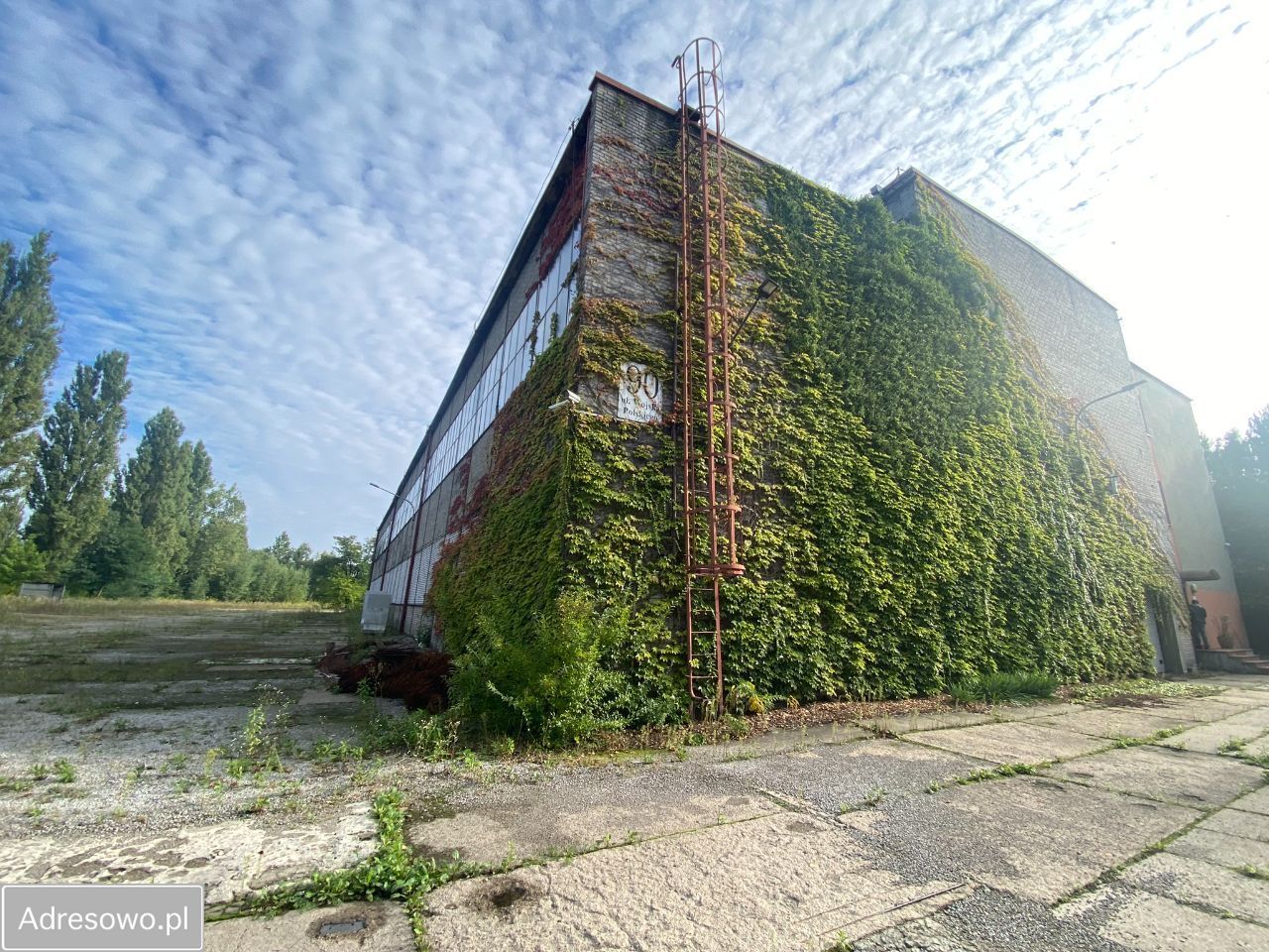 Hala/magazyn Świętochłowice, ul. Wojska Polskiego