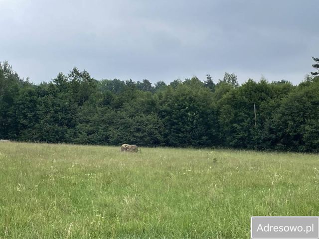 Działka budowlana Głębock. Zdjęcie 1