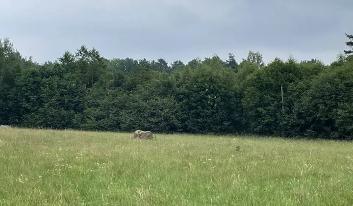 Działka budowlana Głębock