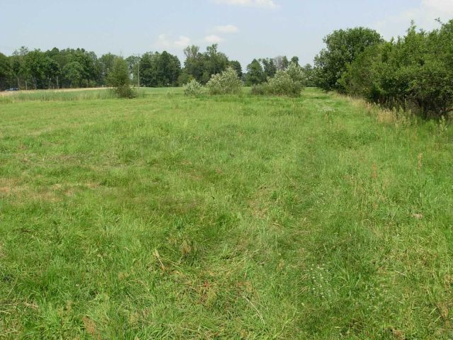 Działka budowlana Pogorzelec. Zdjęcie 1