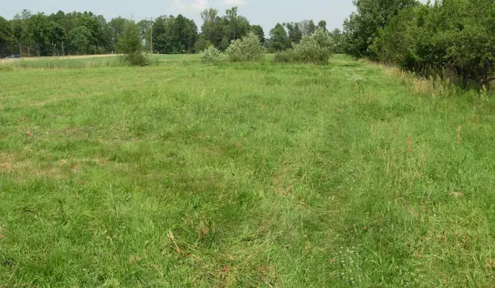 Działka budowlana Pogorzelec