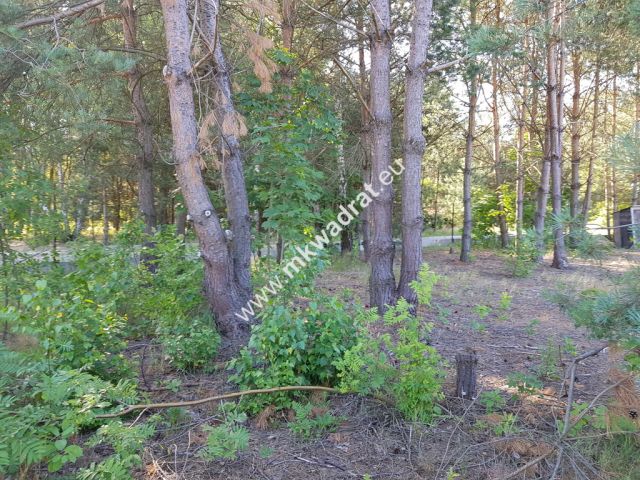 Działka budowlana Jesionka. Zdjęcie 1