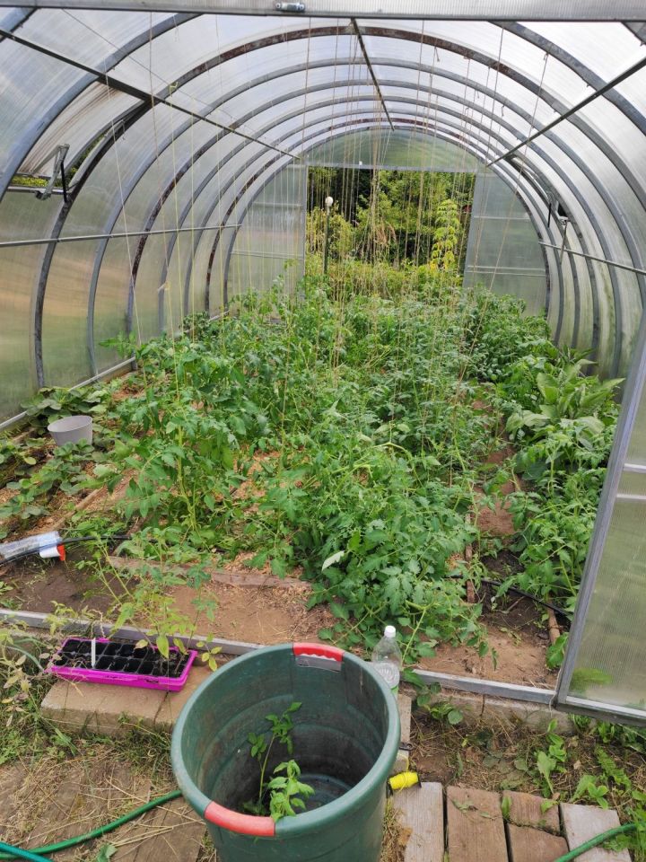 Działka rod Sosnowiec Pogoń. Zdjęcie 5