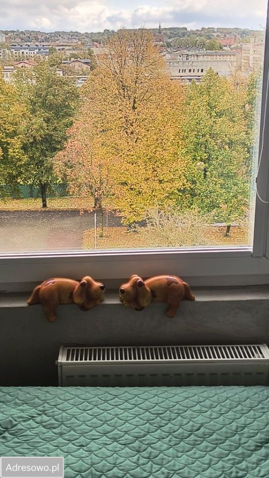 Mieszkanie 3-pokojowe Słupsk, ul. Jana Sobieskiego. Zdjęcie 3