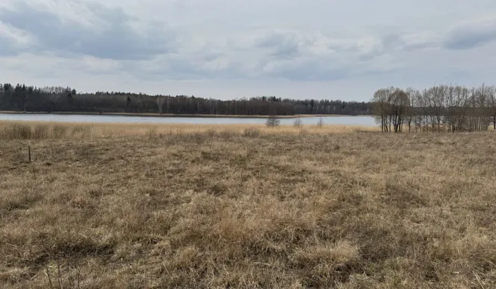 Działka rekreacyjna Borki