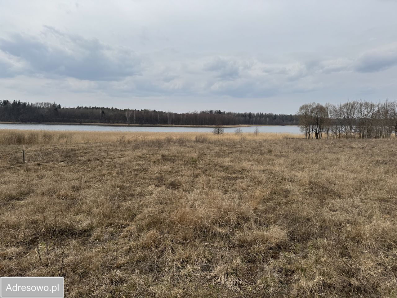Działka rekreacyjna Borki. Zdjęcie 1