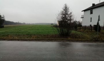 Działka rolno-budowlana Dworszowice Pakoszowe