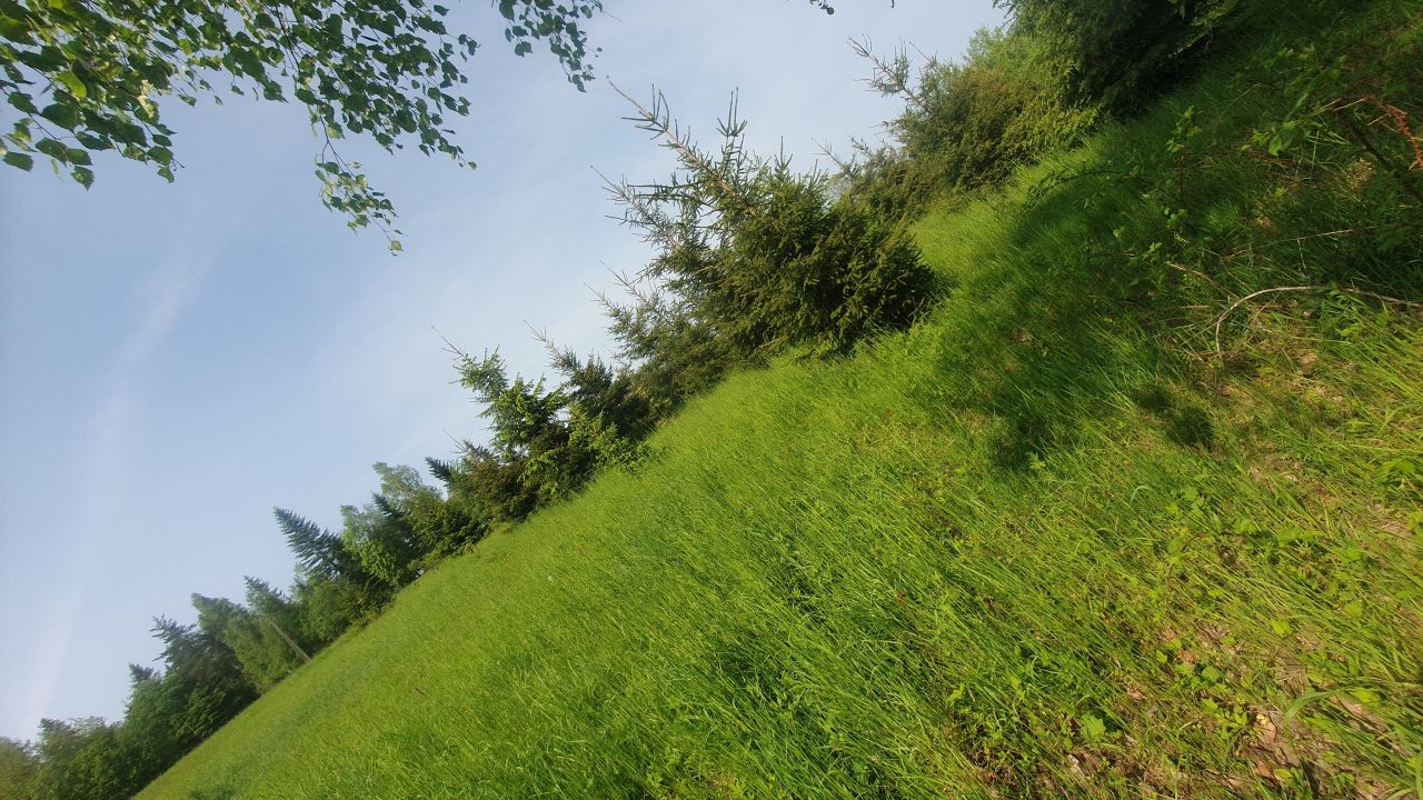 Działka leśna Rdzawka Rusnakówka. Zdjęcie 5