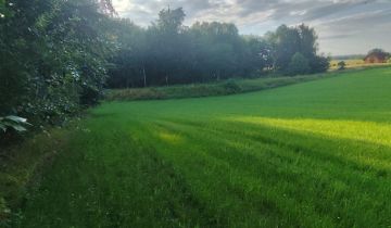 Działka rolno-budowlana Pieski