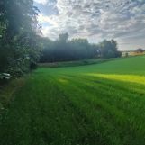 Działka rolno-budowlana Pieski. Zdjęcie 1