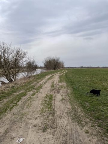 Działka rolna Popów, Poznańska. Zdjęcie 1