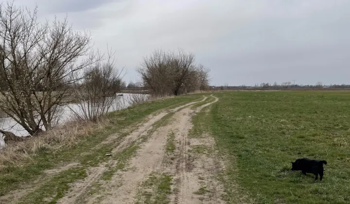 Działka rolna Popów, Poznańska