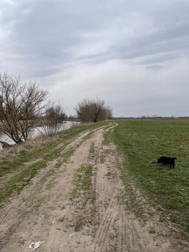 Działka rolna Popów, Poznańska