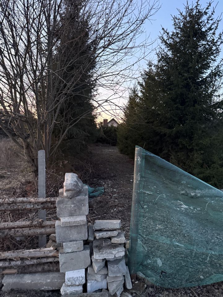 Działka rolna Sokołów Podlaski, Wysoka. Zdjęcie 2