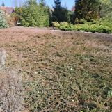 Działka budowlana Mała Wieś Dolna. Zdjęcie 3