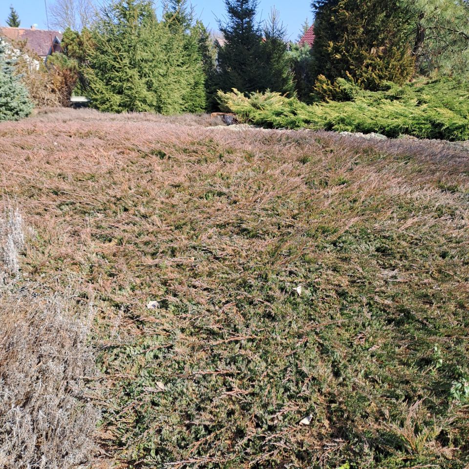 Działka budowlana Mała Wieś Dolna. Zdjęcie 7