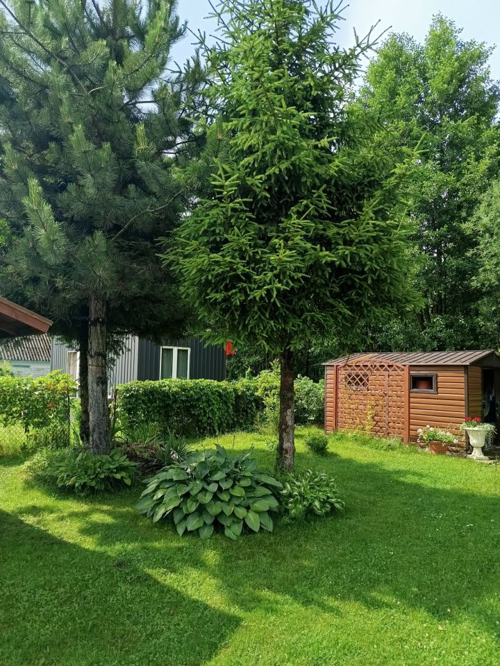 Działka rod Giżycko. Zdjęcie 1