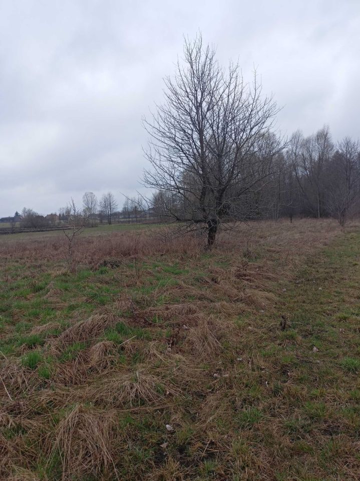 Działka rolna Baczki. Zdjęcie 2