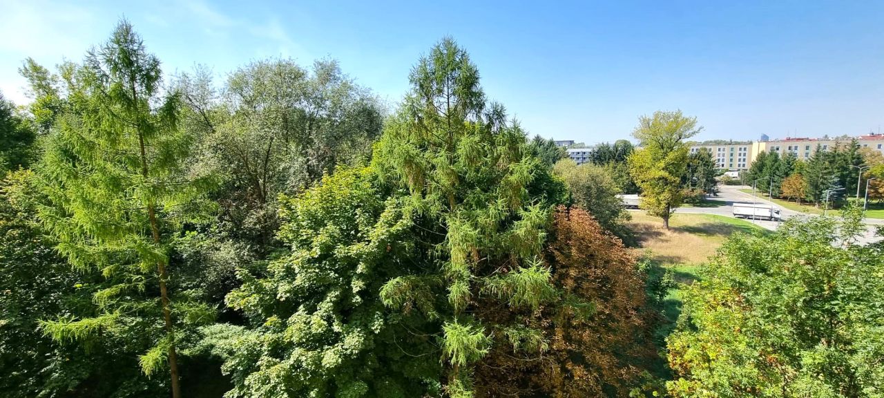 Mieszkanie 1-pokojowe Kraków Płaszów, ul. Lasówka. Zdjęcie 12