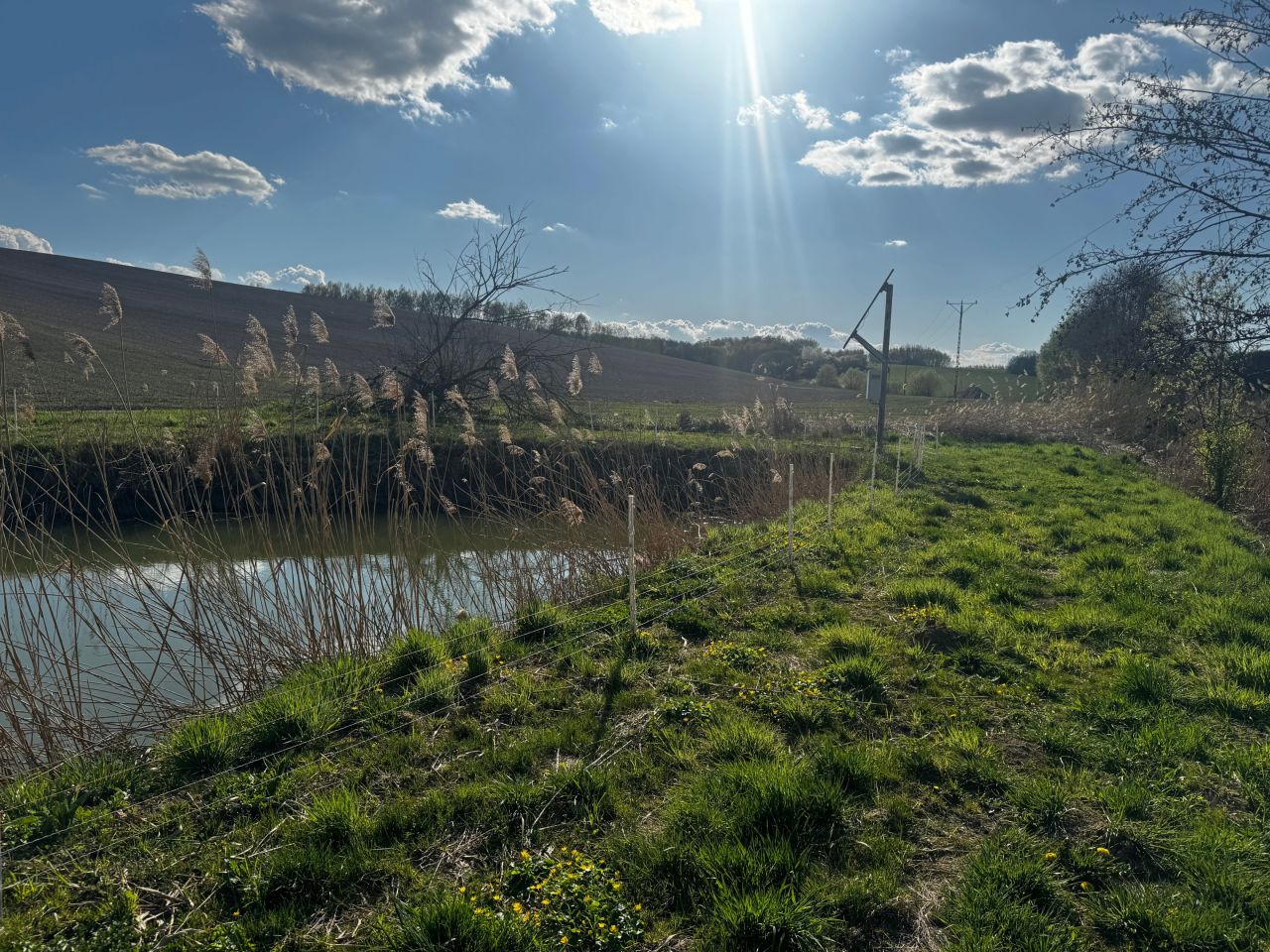 Działka rolno-budowlana Błędowa Zgłobieńska. Zdjęcie 7