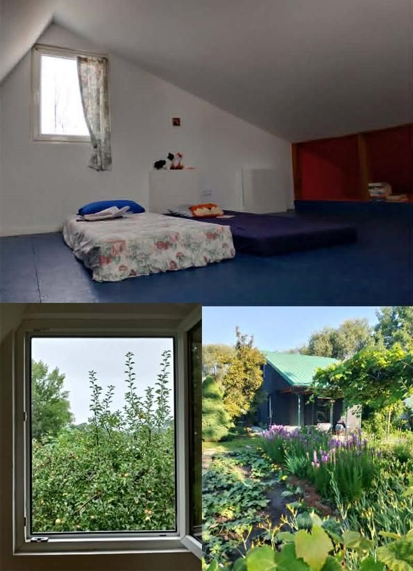 Działka rod Tarnobrzeg Nadole, ul. Wałowa. Zdjęcie 3