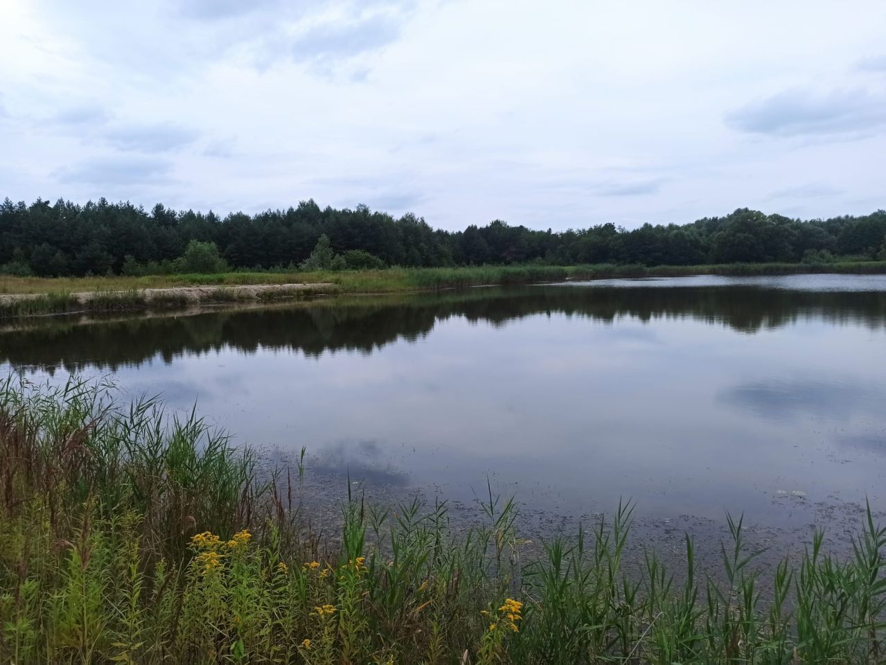 Działka inwestycyjna Nowa Grobla Hamernia. Zdjęcie 14
