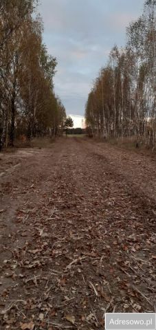 Działka budowlana Dobrzyń, ul. Generała Fieldorfa. Zdjęcie 1