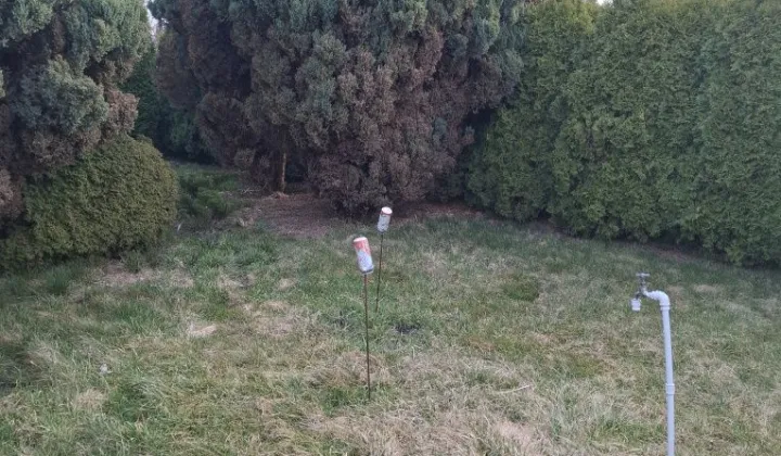 Działka rod Bełchatów