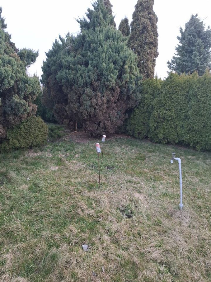 Działka rod Bełchatów. Zdjęcie 1