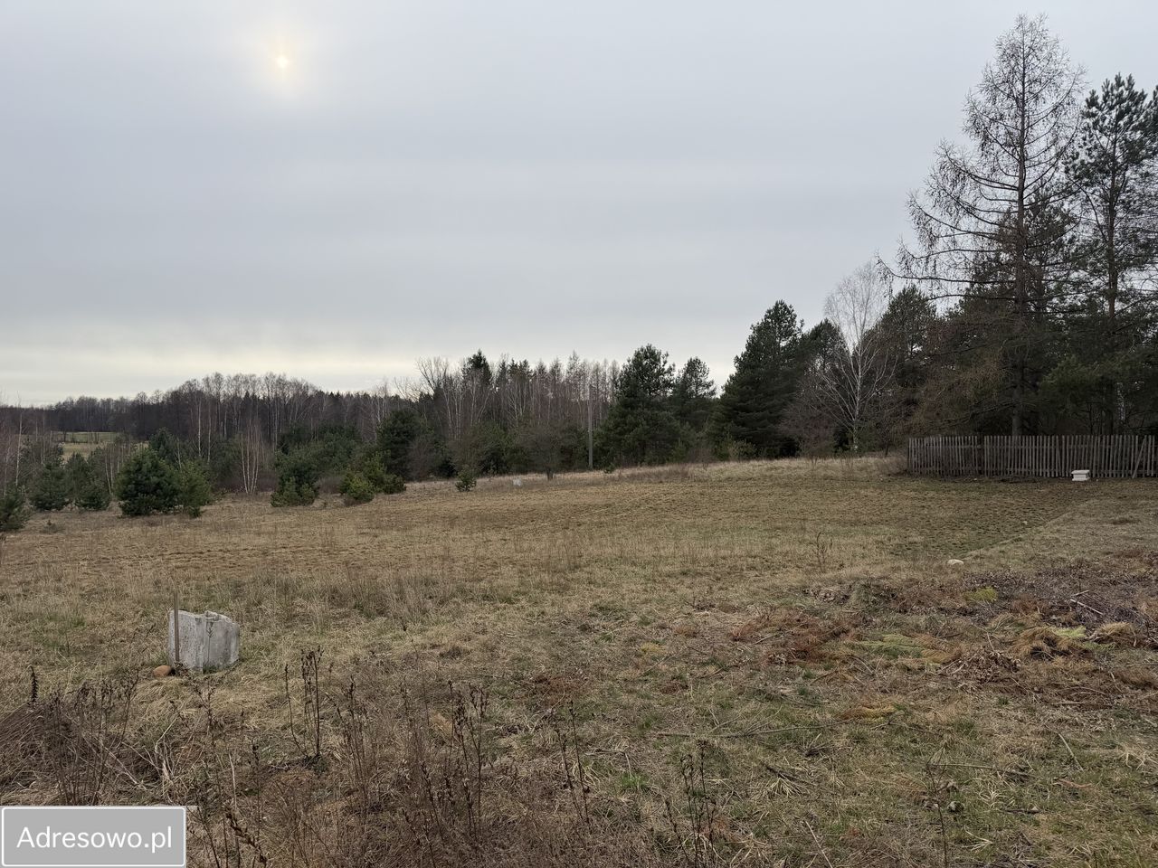 Działka budowlana Niewodnica Kościelna, ul. Borówkowa. Zdjęcie 5