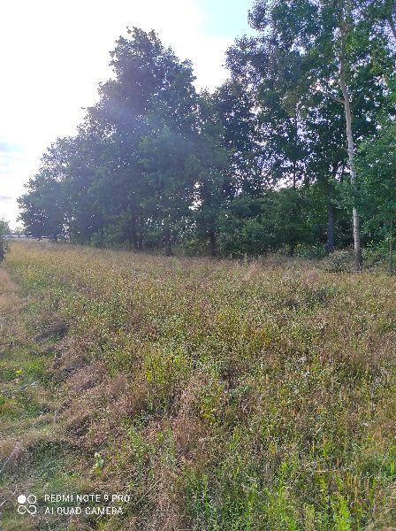 Działka rolna Ludwinowo Zegrzyńskie. Zdjęcie 2