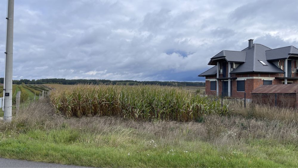 Działka rolna Jelonek. Zdjęcie 7