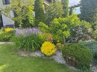 dom wolnostojący, 4 pokoje Bielsko-Biała Lipnik, Władysława Kiernika. Zdjęcie 231