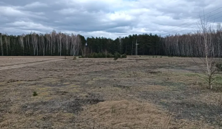 Działka budowlana Śródborze