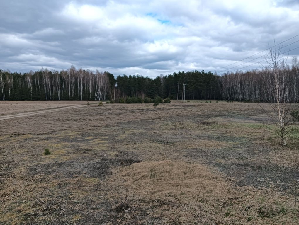 Działka budowlana Śródborze. Zdjęcie 1