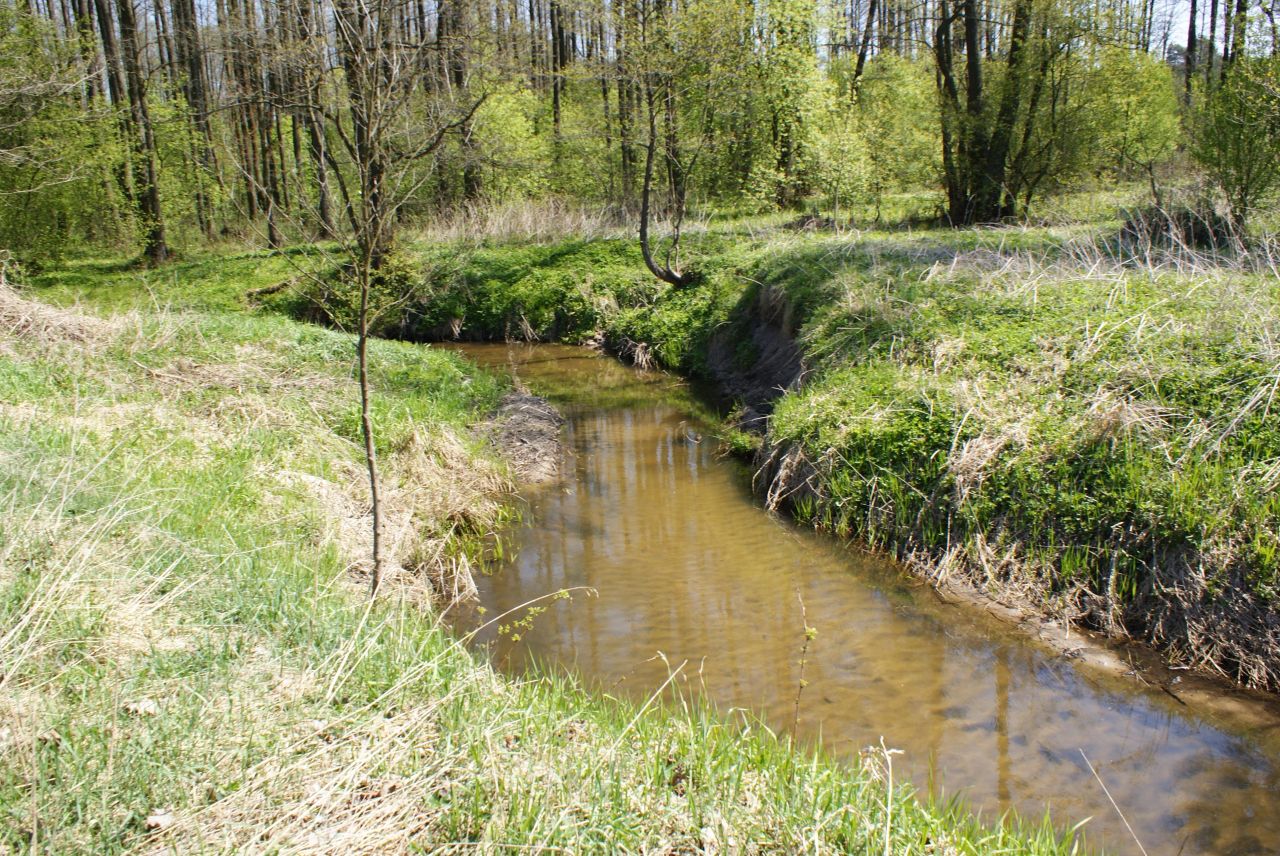 Działka rolno-budowlana Korytnica. Zdjęcie 1