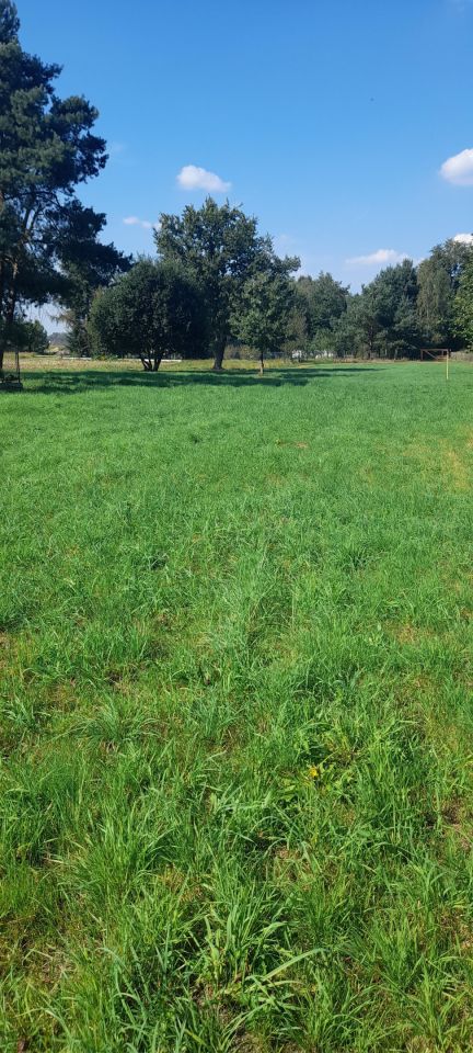 Działka budowlana Gostyń, ul. Rybnicka