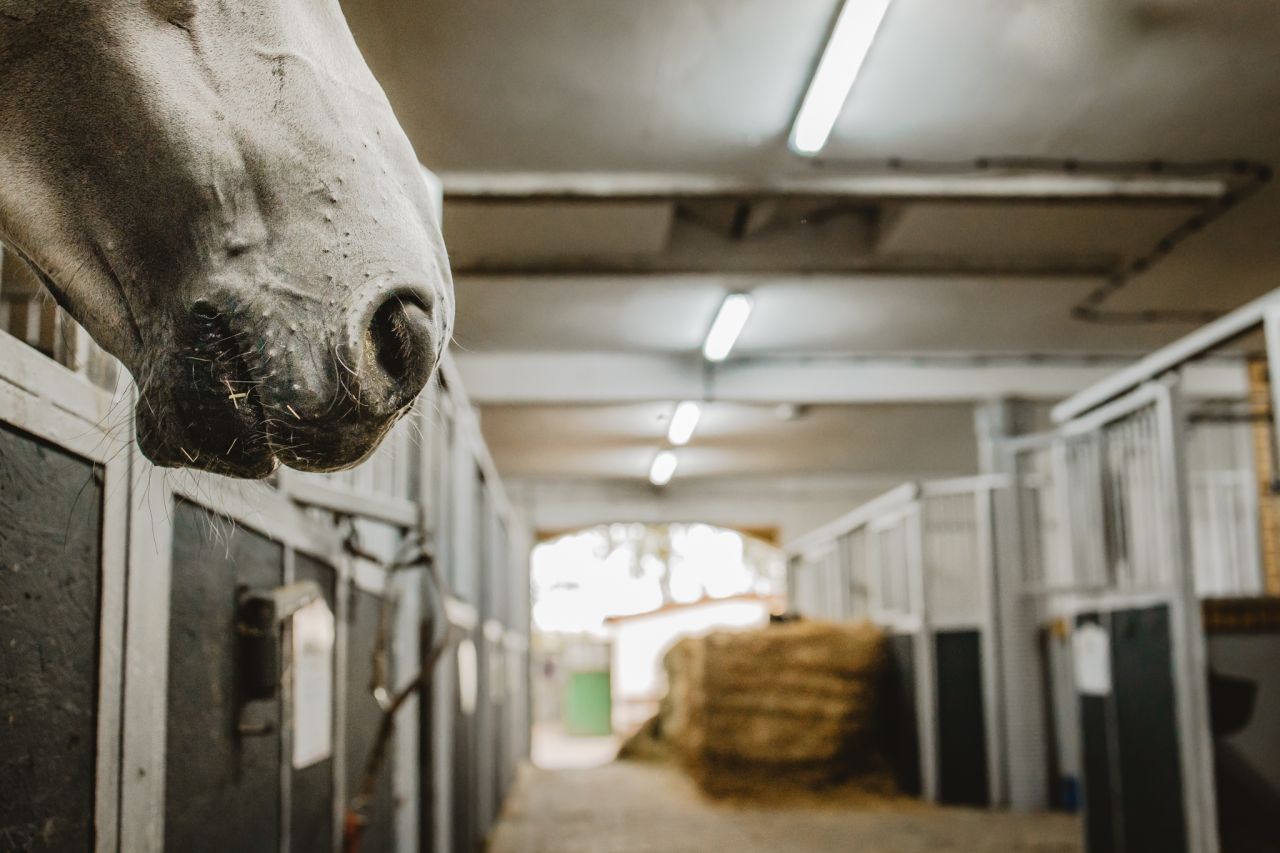 Nieruchomość komercyjna Kębliny, ul. Włościańska. Zdjęcie 7