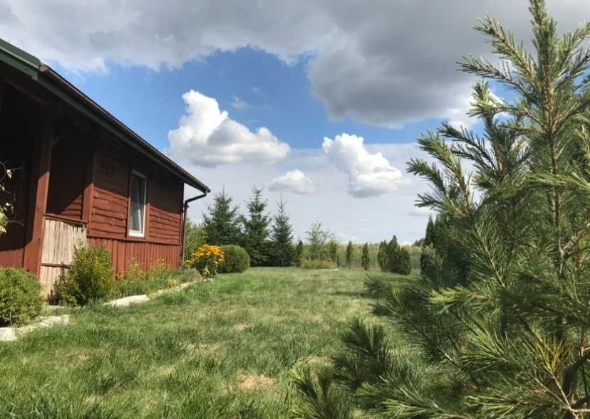 Działka rod Siedlce, ul. Graniczna. Zdjęcie 2