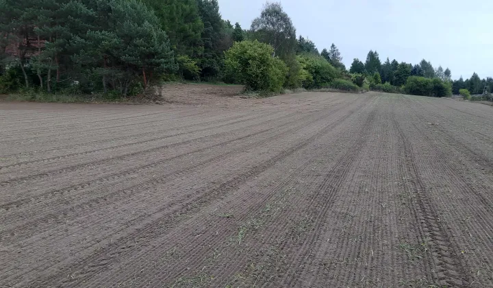 Działka rekreacyjna Bizoręda