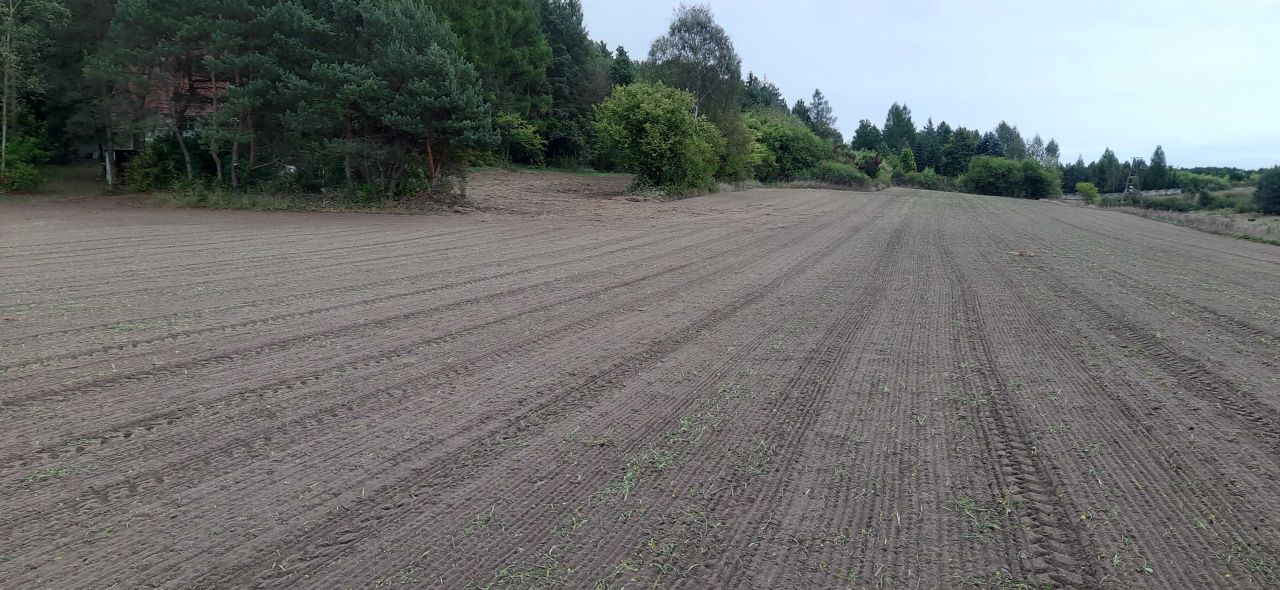 Działka rekreacyjna Bizoręda. Zdjęcie 1