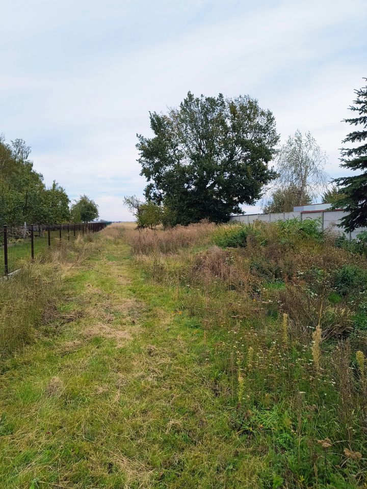 Działka rolno-budowlana Krzyworzeka. Zdjęcie 2