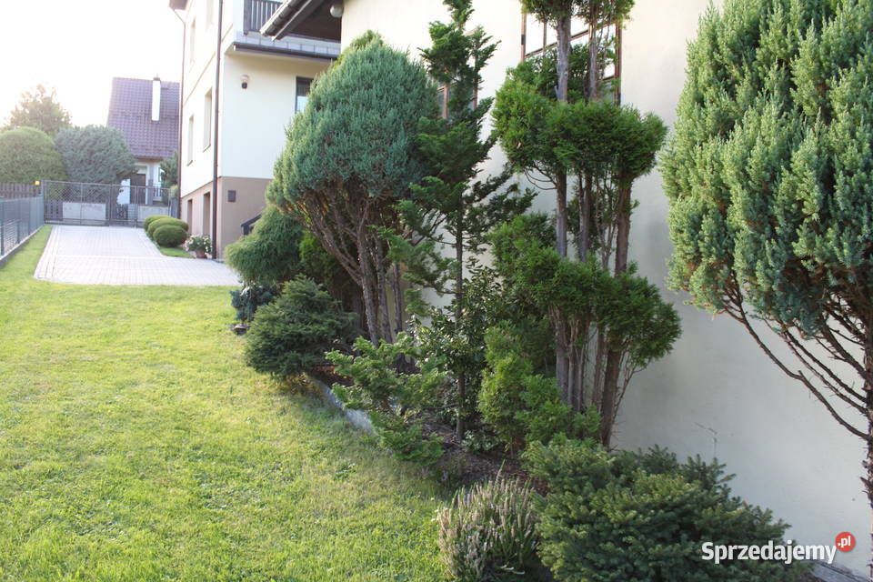 Działka budowlana Trojanowice, ul. Widokowa. Zdjęcie 6