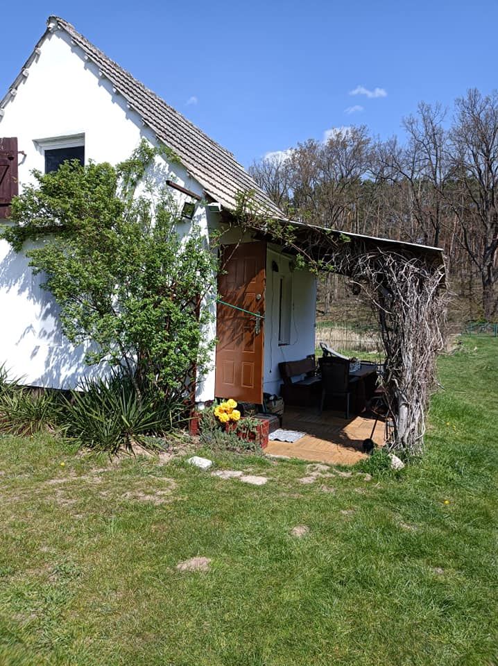 Działka rolna Bledzew Tymiana, ul. Tymiany. Zdjęcie 19