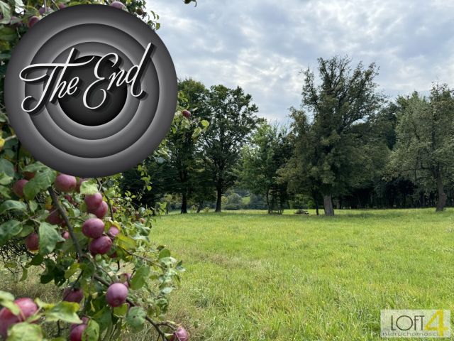 Działka budowlana Buchcice. Zdjęcie 2