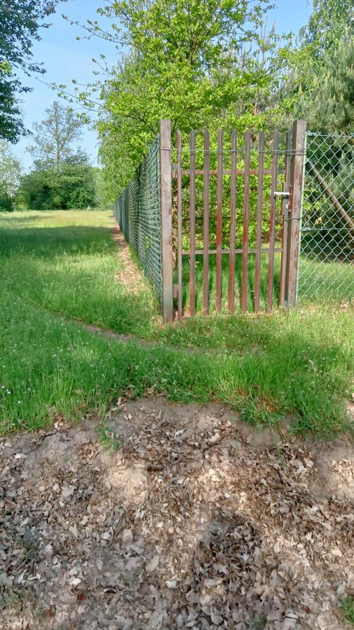 Działka rolna Skęczniew. Zdjęcie 4