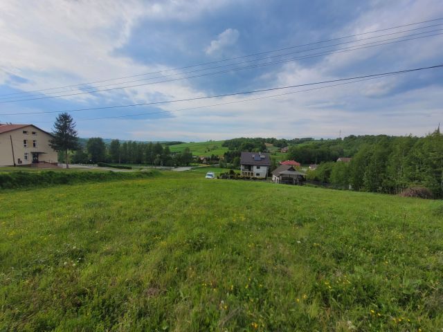 Działka budowlana Siedliska-Bogusz. Zdjęcie 1