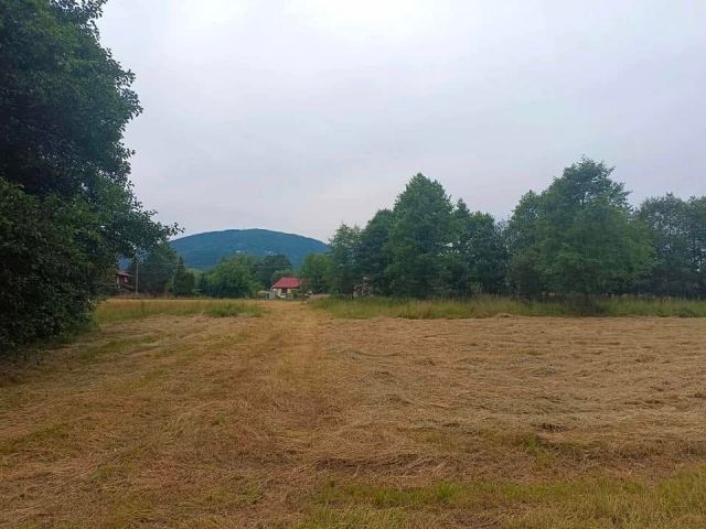 Działka budowlana Buczkowice. Zdjęcie 1